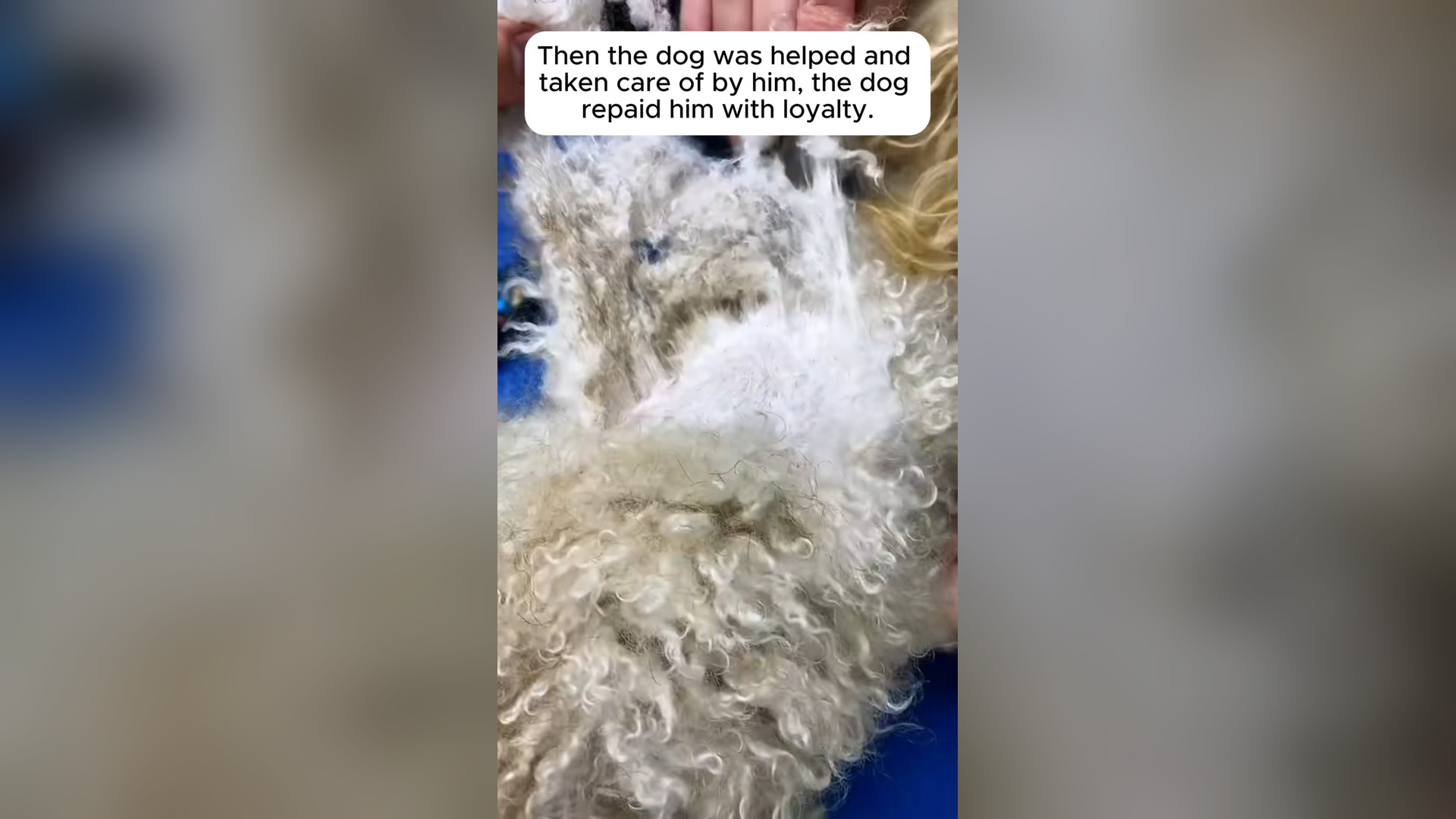 H1104021_Please stop by send well wish to wonder