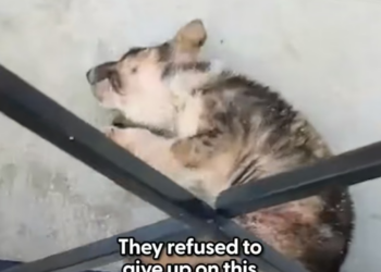 H0604003_Three months later, she was unrecognizable,