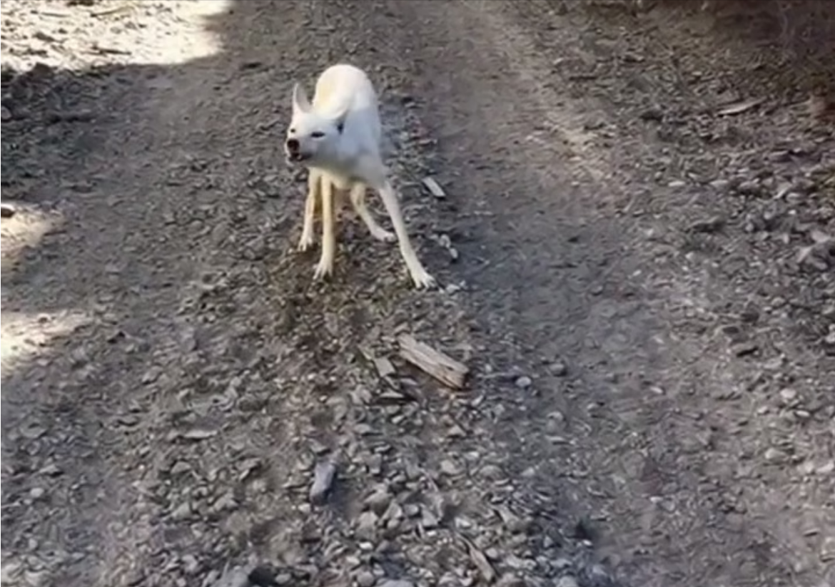 H0304004_Cry Help Saved Life #wholesome #a