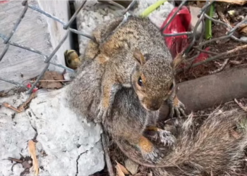 H0704004_In moment, world feels softer #fyp #foryo