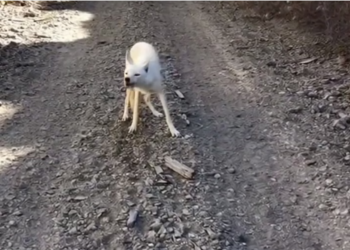 H0304004_Cry Help Saved Life #wholesome #a