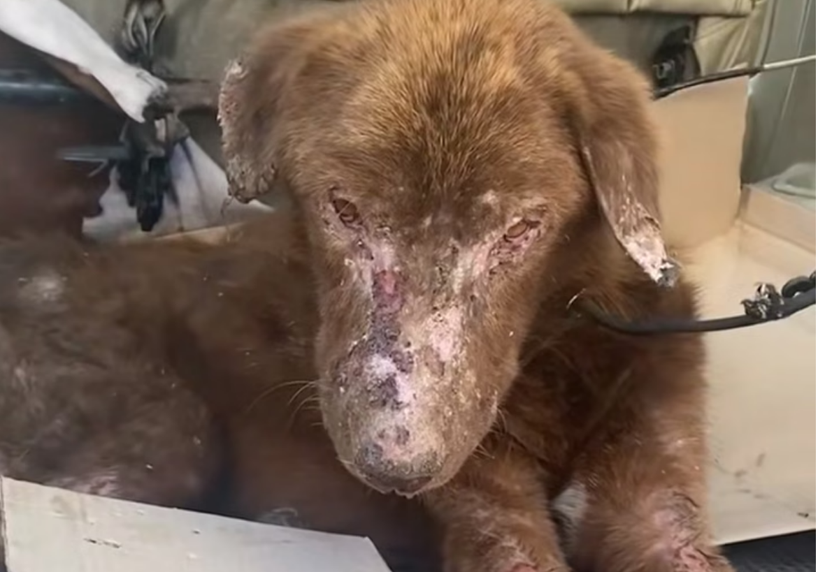 H0704014_After everything he went through, he just wanted