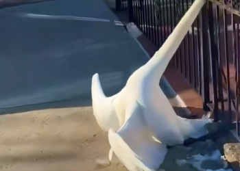 H0704015_We re starting to see pattern here wait until