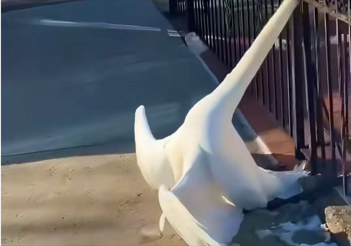 H0704015_We re starting to see pattern here wait until