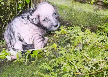 H0704015_We re starting to see pattern here wait until