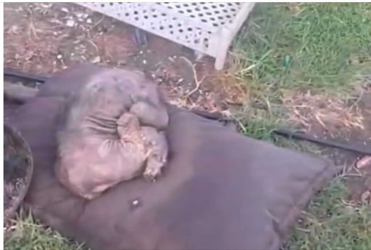 H2304015_Bienvenida peque