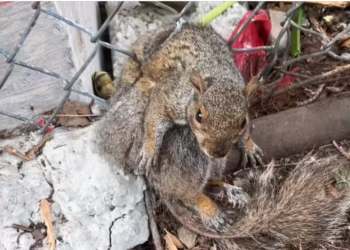 H0704004_In moment, world feels softer #fyp #foryo