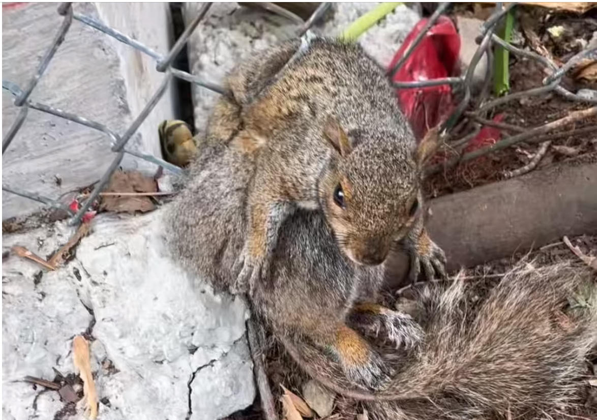 H0704004_In moment, world feels softer #fyp #foryo